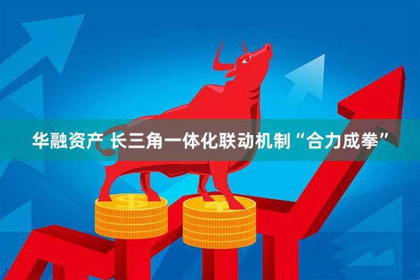 华融资产 长三角一体化联动机制“合力成拳”