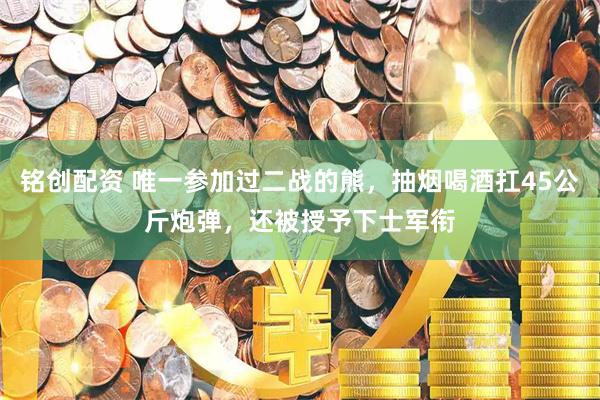 铭创配资 唯一参加过二战的熊，抽烟喝酒扛45公斤炮弹，还被授予下士军衔
