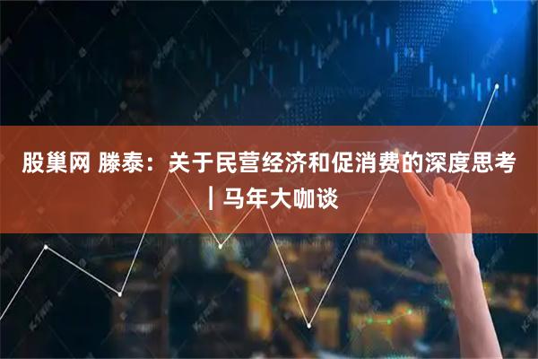 股巢网 滕泰:关于民营经济和促消费的深度思考︱马年大咖谈