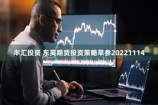 丰汇投资 东吴期货投资策略早参20221114