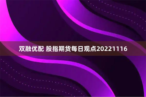 双融优配 股指期货每日观点20221116