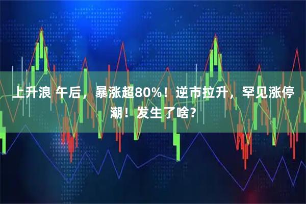 上升浪 午后，暴涨超80%！逆市拉升，罕见涨停潮！发生了啥？