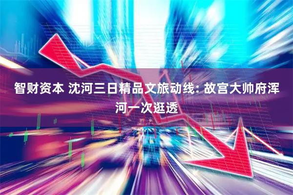 智财资本 沈河三日精品文旅动线: 故宫大帅府浑河一次逛透